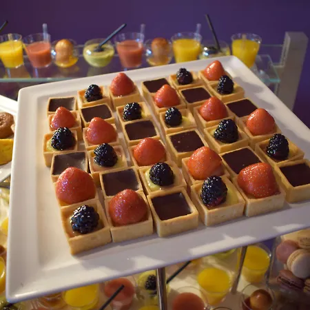 Hotel Golden Tulip Cdg Airport